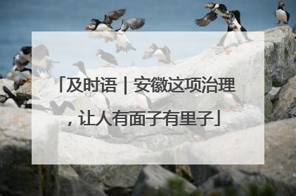 及时语｜安徽这项治理，让人有面子有里子