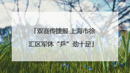 双赛传捷报 上海市徐汇区军休“乒”劲十足