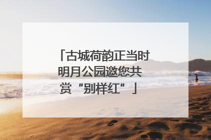 古城荷韵正当时 明月公园邀您共赏“别样红”