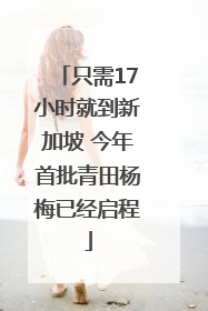 只需17小时就到新加坡 今年首批青田杨梅已经启程
