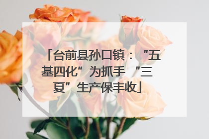台前县孙口镇：“五基四化”为抓手 “三夏”生产保丰收