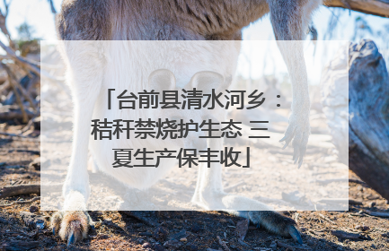 台前县清水河乡：秸秆禁烧护生态 三夏生产保丰收