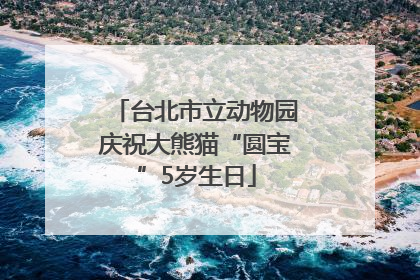 台北市立动物园庆祝大熊猫“圆宝”5岁生日