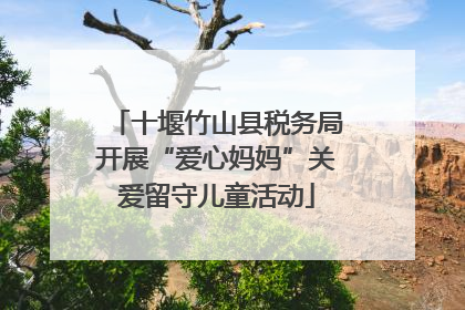 十堰竹山县税务局开展“爱心妈妈”关爱留守儿童活动