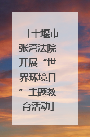 十堰市张湾法院开展“世界环境日”主题教育活动