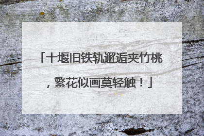 十堰旧铁轨邂逅夹竹桃，繁花似画莫轻触！