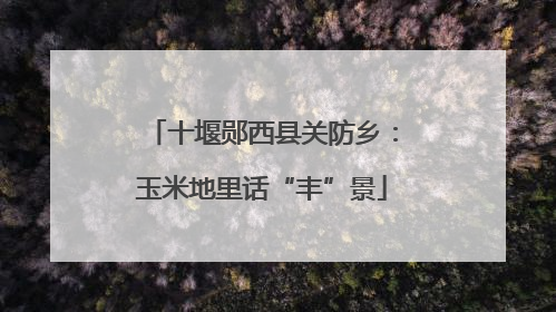 十堰郧西县关防乡：玉米地里话“丰”景