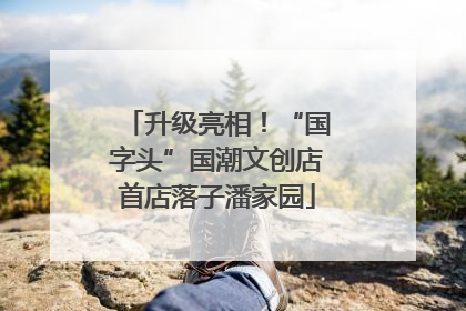 升级亮相！“国字头”国潮文创店首店落子潘家园