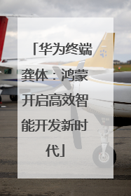 华为终端龚体：鸿蒙开启高效智能开发新时代