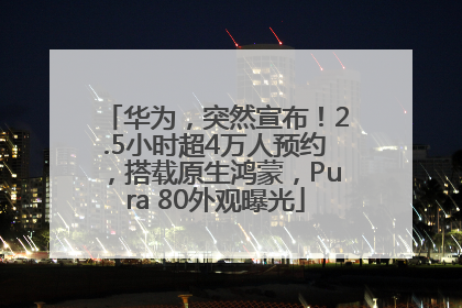 华为，突然宣布！2.5小时超4万人预约，搭载原生鸿蒙，Pura 80外观曝光