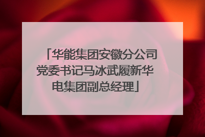 华能集团安徽分公司党委书记马冰武履新华电集团副总经理