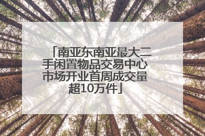 南亚东南亚最大二手闲置物品交易中心市场开业首周成交量超10万件
