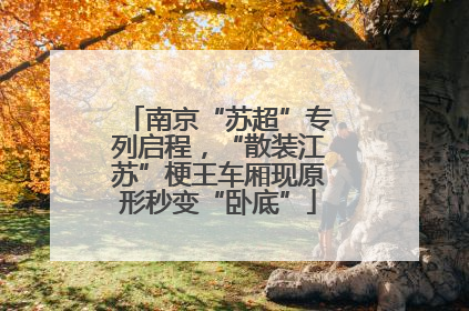 南京“苏超”专列启程，“散装江苏”梗王车厢现原形秒变“卧底”