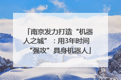 南京发力打造“机器人之城”：用3年时间“强攻”具身机器人