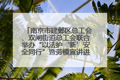 南京市建邺区总工会、双闸街道总工会联合举办“以法护‘新’安全同行”暨劳模宣讲进工地服务活动