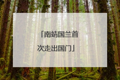 南靖国兰首次走出国门