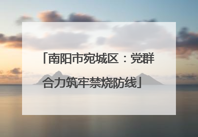 南阳市宛城区：党群合力筑牢禁烧防线