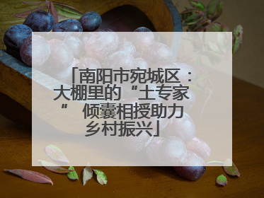 南阳市宛城区：大棚里的“土专家” 倾囊相授助力乡村振兴