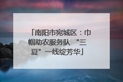 南阳市宛城区：巾帼助农服务队 “三夏”一线绽芳华