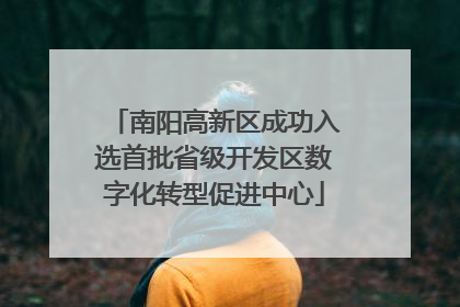 南阳高新区成功入选首批省级开发区数字化转型促进中心