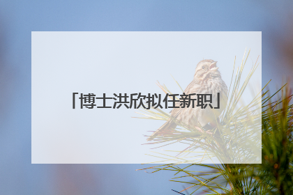 博士洪欣拟任新职