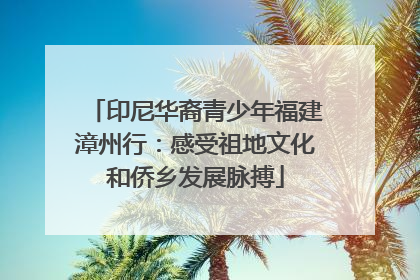 印尼华裔青少年福建漳州行：感受祖地文化和侨乡发展脉搏