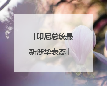 印尼总统最新涉华表态