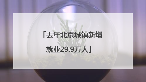 去年北京城镇新增就业29.9万人