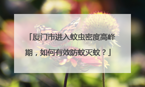 厦门市进入蚊虫密度高峰期，如何有效防蚊灭蚊？