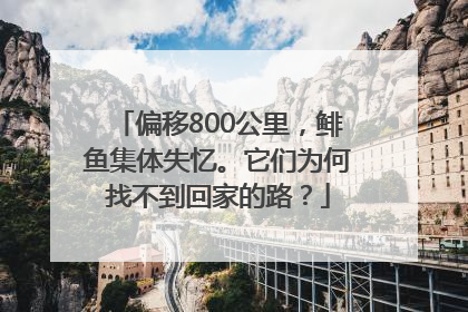 偏移800公里，鲱鱼集体失忆。它们为何找不到回家的路？