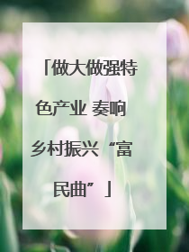 做大做强特色产业 奏响乡村振兴“富民曲”