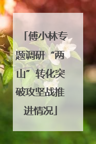 傅小林专题调研“两山”转化突破攻坚战推进情况