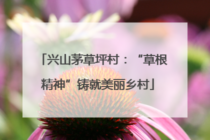 兴山茅草坪村：“草根精神”铸就美丽乡村