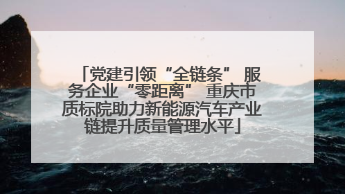 党建引领“全链条” 服务企业“零距离” 重庆市质标院助力新能源汽车产业链提升质量管理水平