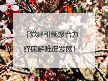 党建引领聚合力 纾困解难促发展