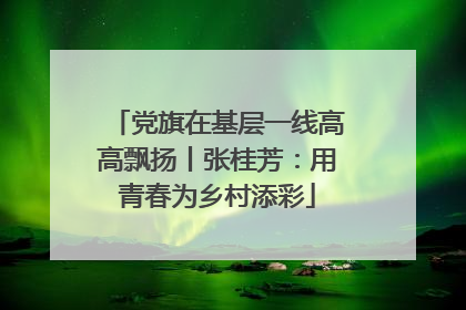 党旗在基层一线高高飘扬丨张桂芳：用青春为乡村添彩