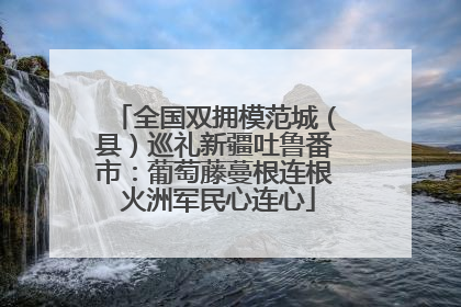 全国双拥模范城（县）巡礼新疆吐鲁番市：葡萄藤蔓根连根 火洲军民心连心