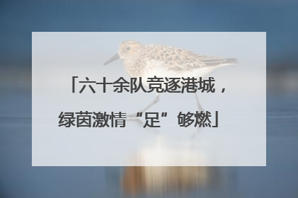 六十余队竞逐港城，绿茵激情“足”够燃