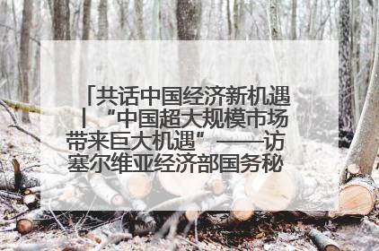 共话中国经济新机遇丨“中国超大规模市场带来巨大机遇”——访塞尔维亚经济部国务秘书尼科利奇