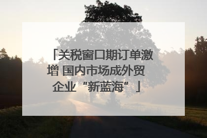 关税窗口期订单激增 国内市场成外贸企业“新蓝海”