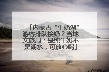 内蒙古“牛奶湖”游客排队接奶？当地文旅局：是纯牛奶不是湖水，可放心喝