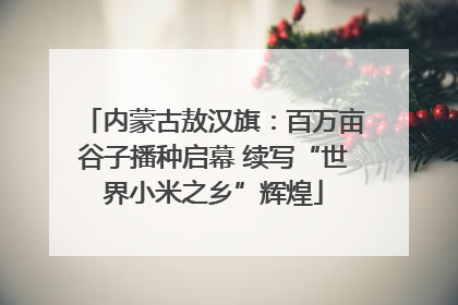 内蒙古敖汉旗：百万亩谷子播种启幕 续写“世界小米之乡”辉煌