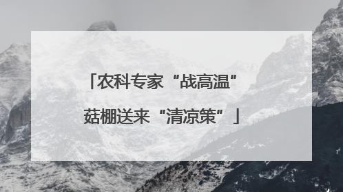 农科专家“战高温” 菇棚送来“清凉策”