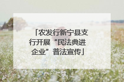 农发行新宁县支行开展“民法典进企业”普法宣传