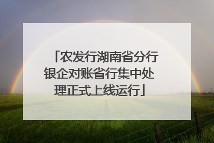 农发行湖南省分行银企对账省行集中处理正式上线运行