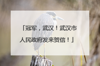 冠军，武汉！武汉市人民政府发来贺信！