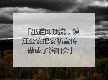 出道即顶流，镇江公安把安防宣传做成了演唱会