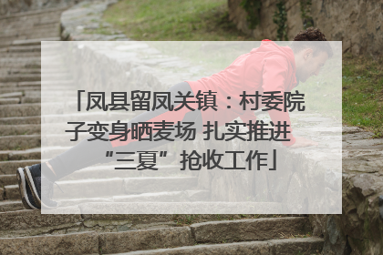凤县留凤关镇：村委院子变身晒麦场 扎实推进“三夏”抢收工作