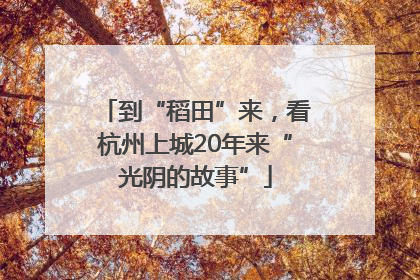 到“稻田”来，看杭州上城20年来“光阴的故事”