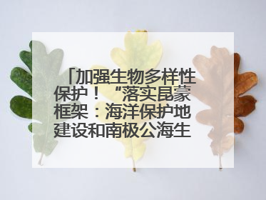 加强生物多样性保护！“落实昆蒙框架：海洋保护地建设和南极公海生态保护”主题论坛将举办